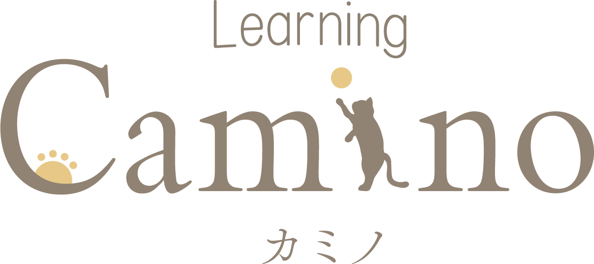 Learning Camino カミノ